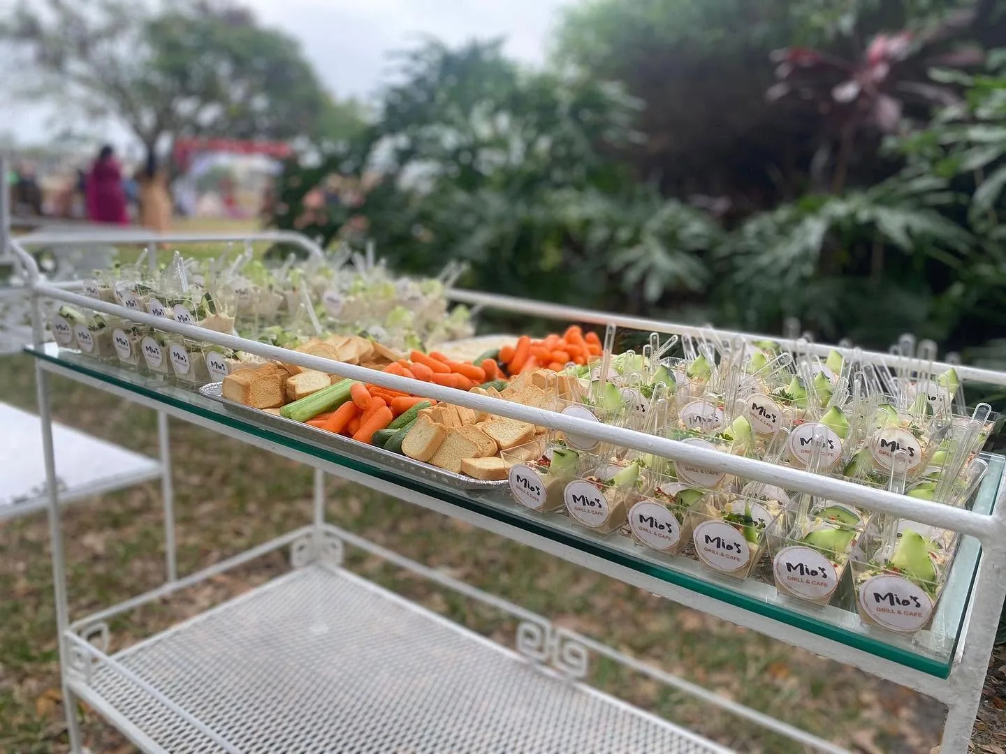 Mio’s Grill & Cafe catering cart with individually packaged salads and a vegetable tray at an outdoor event