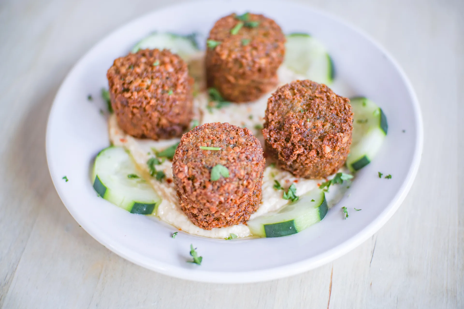 Falafel appetizer at Mio's Grill & Cafe