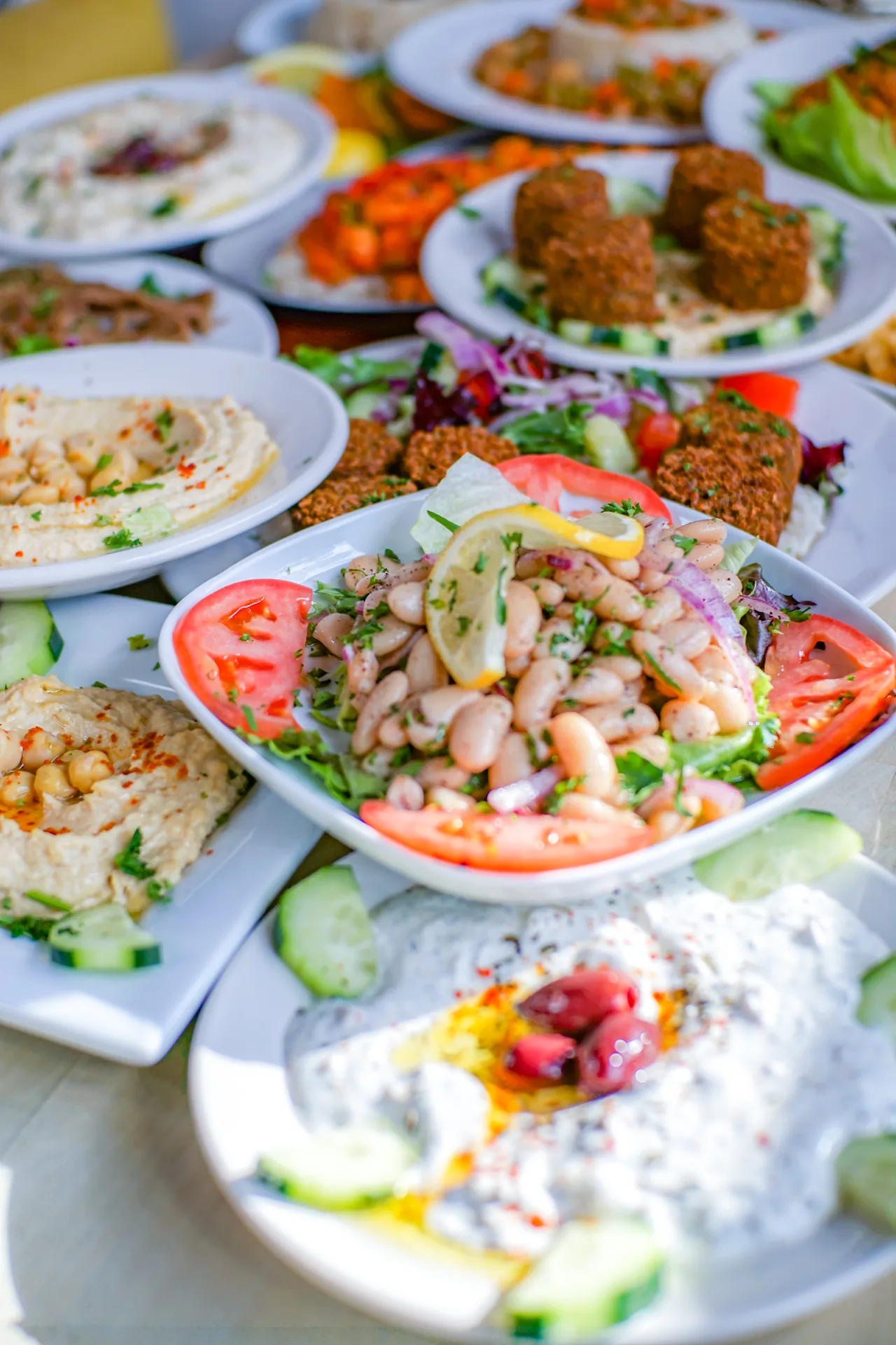 Full Mediterranean menu spread at Mio's Grill & Cafe